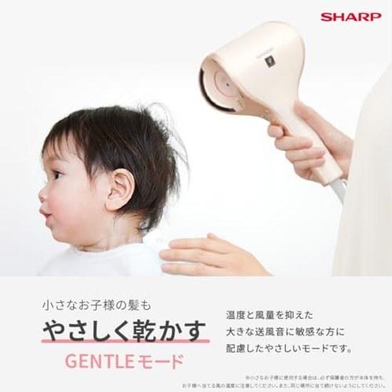 Sharp Dryer IB-WX3-W Plasmacluster Beauty Drape Flow Quick Dry Compact Mode Frozen White