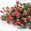 Small Dried Rose Buds for DIY Flower Arrangements and Home Decor