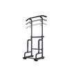 Home Fitness Pull-up & Dip Station