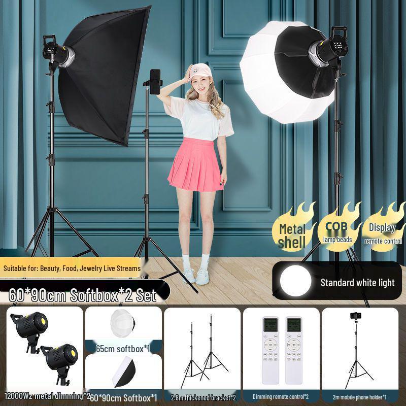 Zheyu Bright Spherical Fill Light for Indoor Live Streaming and Photography