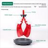 Biology Teaching Aid Demonstrating Diaphragm Action And Gas Exchange In Respiratory Large Size For Clear Instruction