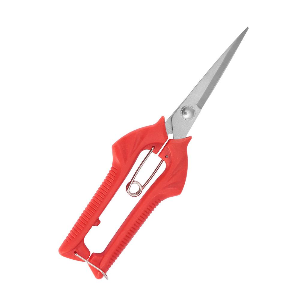 Pointed Grape & Longan Pruning Shears – Bonsai & Horticultural Tools