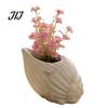 Marine Life Inspired Planter Seashell Conch Succulents Planter, Resin Ocean-Themed Flower Pot with Drainage Hole, Ocean Theme Room Accessories