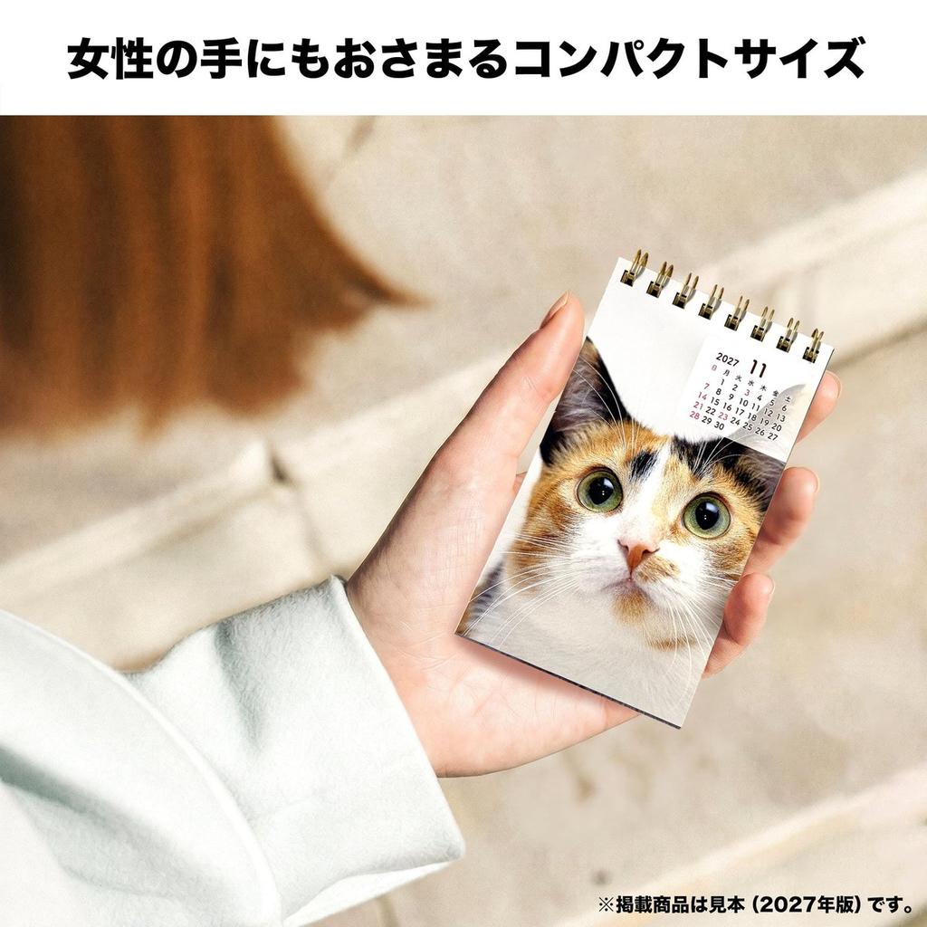 TODAN 2027 Pocket Calendar Cat Neko with Memo TD-30186 Japanese Cute Mini Desk Calendar