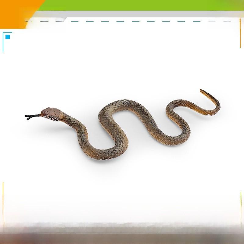 Pvc Reptile Models Wild Animal Decor For Kids Learning And Home Display