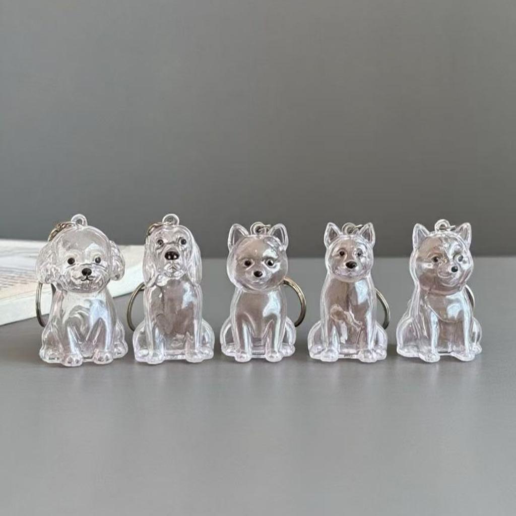 Transparent Pet Memorial Keychain Pet Hair Bottle For Preserving Dog Hair And Ashes In A Leakproof Keepsake Capsule