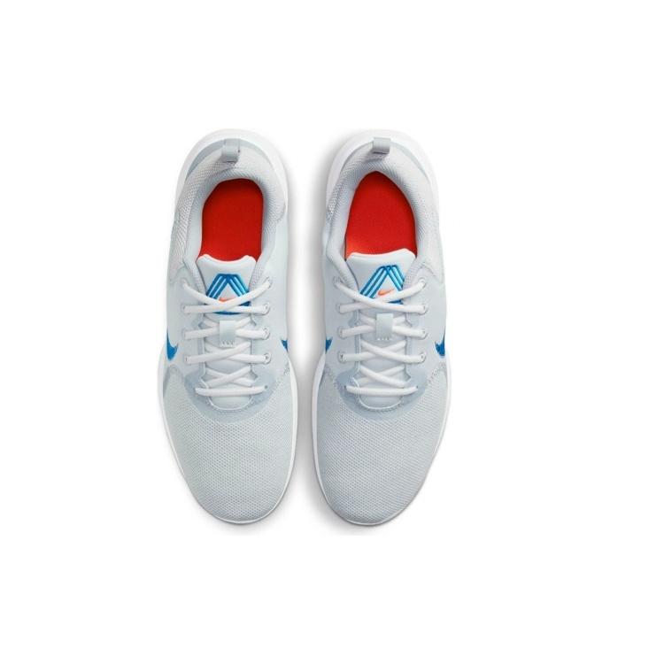 Nike Flex Experience Run 10 'Pure Platinum Imperial Blue' Men's CI9960-010