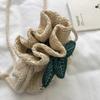 Straw Bucket Small Bag Women's Bag 2025 New Summer Small Fresh Foreign Style Clutch Bag Woven Shoulder Messenger Bag