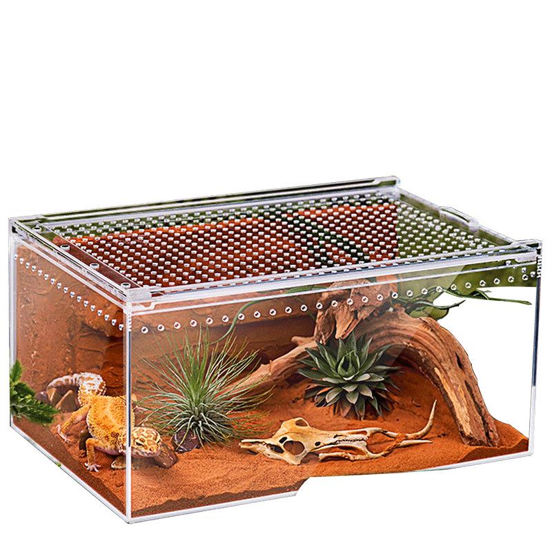 Acryl-Terrarium für Reptilien: Wüsten- und Feuchtlandschafts-Aquarium