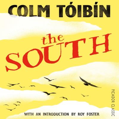 The South by Colm Toibin Paperback Book 9781447277729