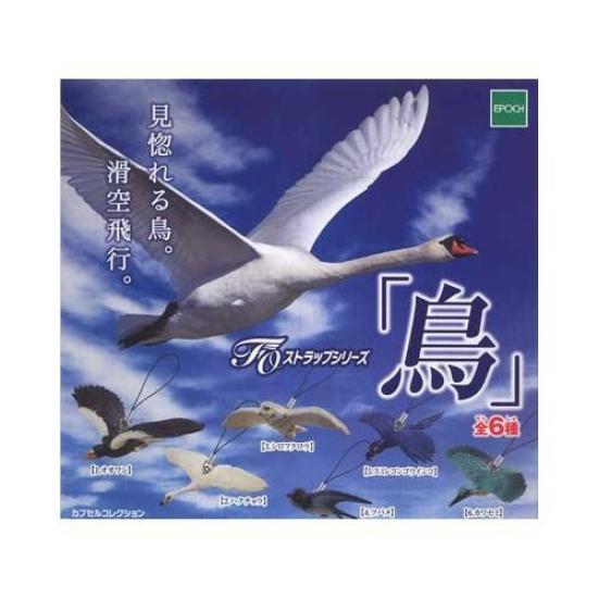 Capsule FO Strap Series Set of 6 "Bird"