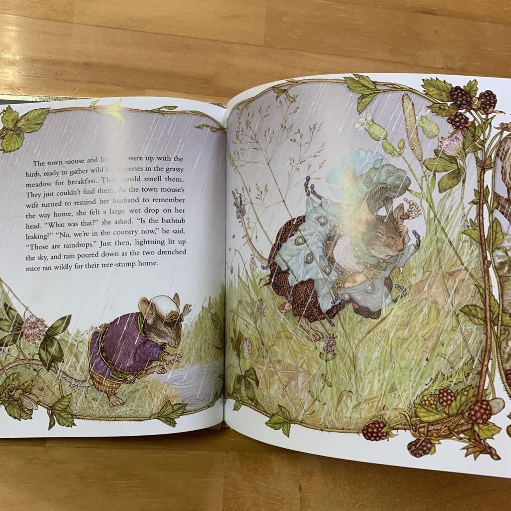 [USED] Jan Brett Town Mouse Country Mouse