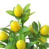 Artificial Lemon Tree Potted Plants Small Fake Yellow Lemons Citrus Tree Faux Fruit Greenery Bonsai Decoration for Indoor Home Office