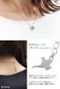 [Disney] Disney Limited Edition Special Edition Aladdin Jasmine Necklace, Sterling Silver 925, Diamond, Women's Gift, Adult
