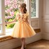 Children's Birthday Princess Dress: Sleeveless Puffy-Sleeve Dress for Girls