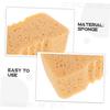 CLISPEED 2pcs Car Wash Sponge Bug Remover Car Applicator Pad Drywall Patch Dish