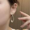Cool Premium Slack Oval Exaggerated Earrings Face Small Artifact Women'S Earrings