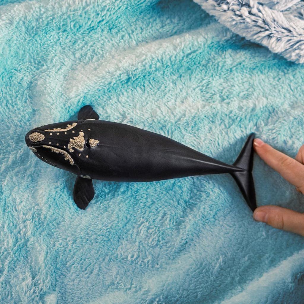 Schleich Wildlife North Atlantic Right Whale 14878