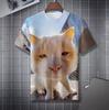 Humorous Funny Cat Graphic T-shirt Neutral Hip-hop Personality 3D Printed Animal Streetwear Short Sleeve T-shirt Summer