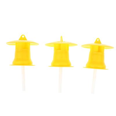 5Pcs Fruchtfliegenfalle Killer Drosophila Falle Fliegenfänger Pest Insektenbekämpfung