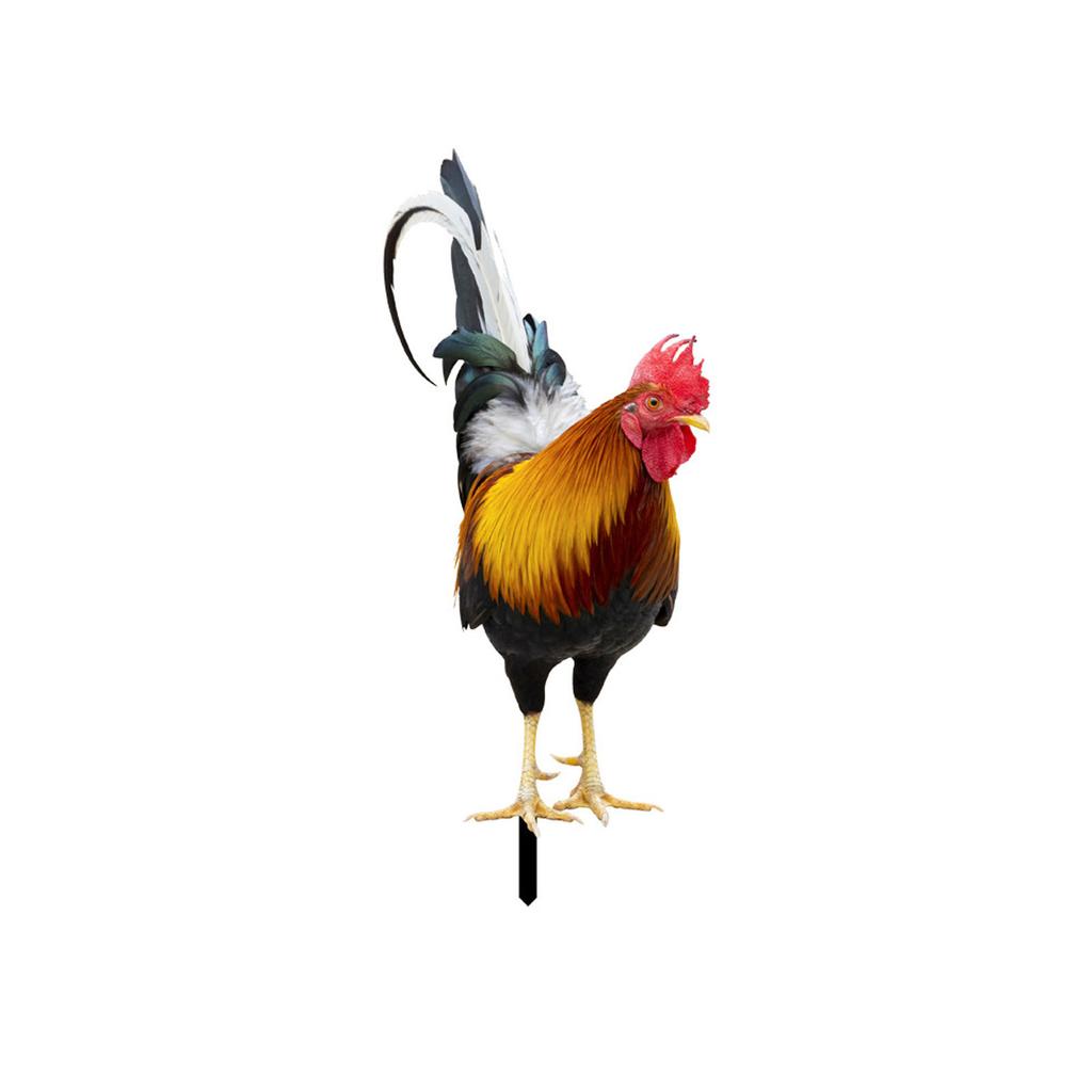 2 Pcs Rooster Lawn Stakes Garden Chicken Statues Farm Yard Courtyard Lawn Decor