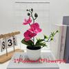 Simulated Sand Phalaenopsis Bonsai Green Plants For Home Wedding Decoration