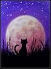 DIY 5D Diamond Painting W040 Cat At Night 40X30 Full Drill Crystal Rhinestone Embroidery Paintings Arts Craft for Home Wall Decor