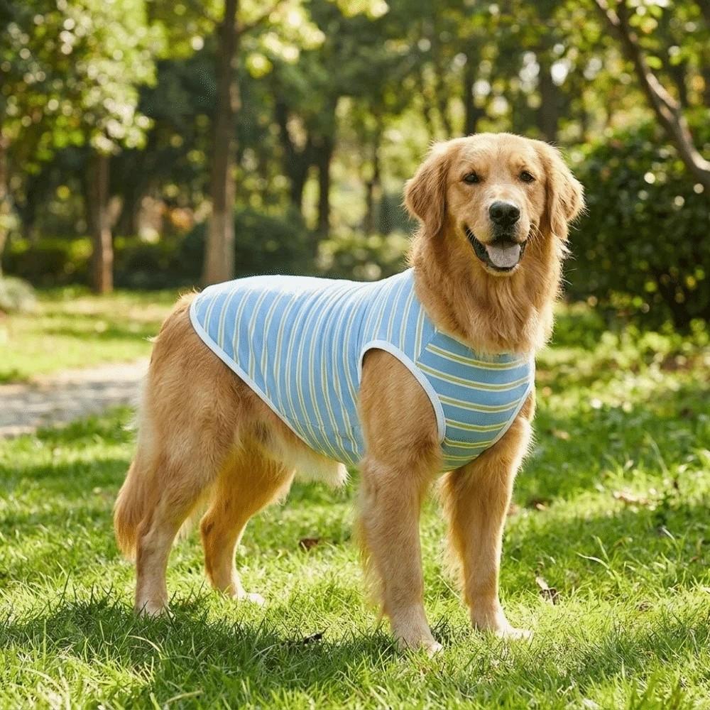Atmungsaktives gestreiftes Haustier-T-Shirt Rundhalsausschnitt Weich Hund Sonnenschutz-Weste Leicht Bequeme Passform Haustier Sommerkleidung Tägliche Kleidung