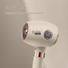 FLYCO FH6369 Portable Hair Dryer
