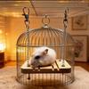 Bite Resistant Small Pet Toy Detachable Parrot Climbing Ladder  Small Animals Play