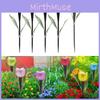 Solar Tulip Garden Courtyard Lawn Landscape Night Light Waterproof Led Lamp For Outdoor Decoration