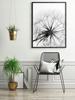 Picture, poster Framed 73x53 cm Dandelion P505