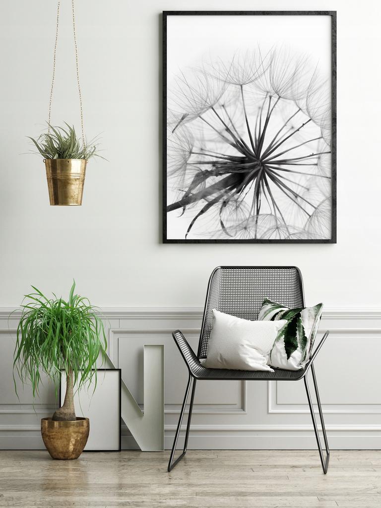 Picture, poster Framed 73x53 cm Dandelion P505