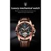 POEDAGAR Luxury Automatic Wristwatch Waterproof Luminous Date Week Leather Men Watch Tourbillon Mechanical Fashion Watches
