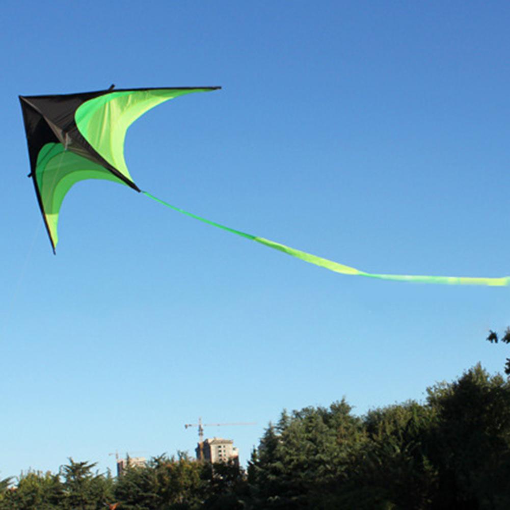 1,6m Großer Delta-Drachen Spielzeug Einfach zu fliegen Grüner Drachen 10 Meter Schwanz Vogelform Drachen mit Rad Leine für Kinder Erwachsene für Outdoor