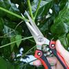Garden Pruning Shears, Stainless Picking Scissors for Grapes, Vegetables And, Labor-Saving Branch