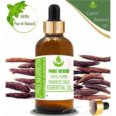 Pure Herbs Cypriol Nagarmotha 100% Pure Cyperus Scariosus Essential Oil ZA 364