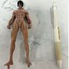 Attack On Titan Eren Jaeger Pvc Figure Model Collectible Toy For Fans