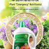 General-Purpose Hydroponic Nutrient Solution for Indoor Flowers and Green Plants