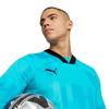 Puma Mens Teamtarget Long-Sleeved Goalkeeper Jersey