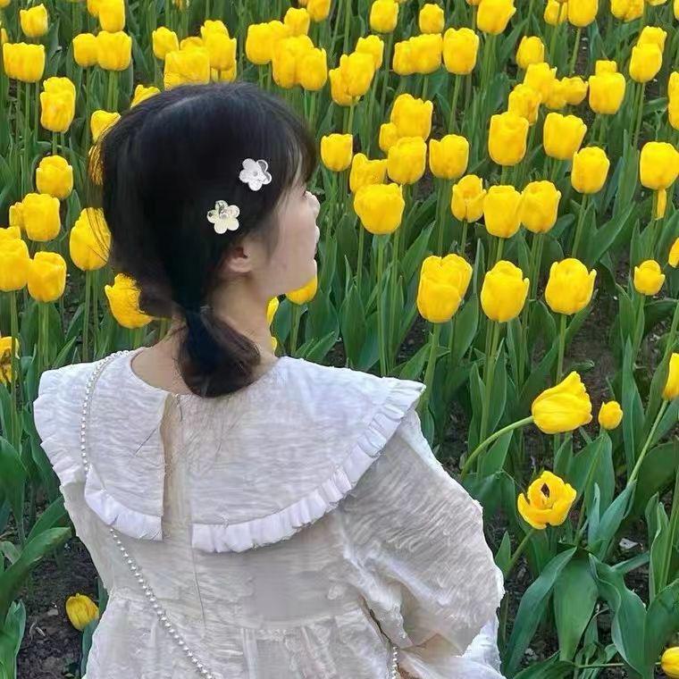 Korean Silver Flower Hairpin: 2025 Trendy Invisible Clip for Women