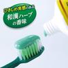 Dentifrice médicinal Fresh Leaf EX pour prévenir la pyorrhée, saveur herbes japonaises et chinoises, 100 g (Shoyou EX) [Quasi-drogue]