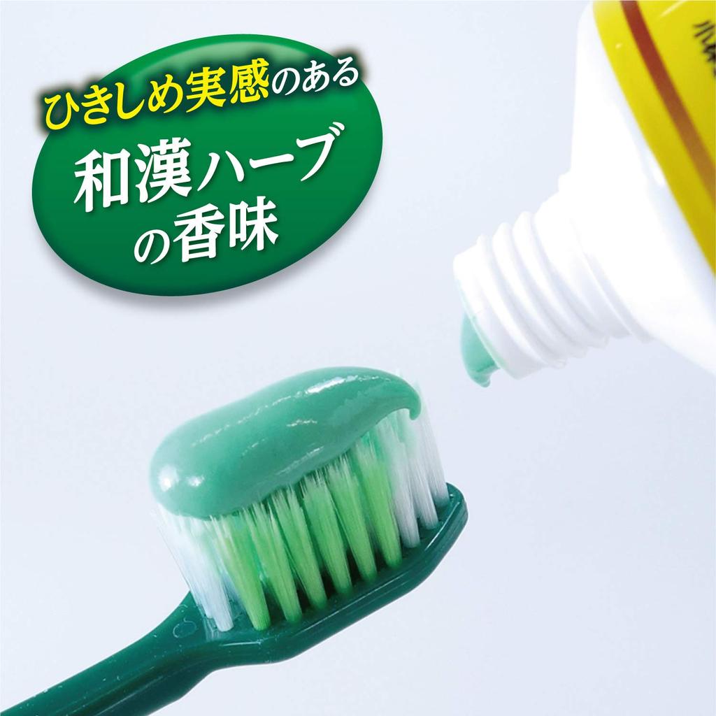 Dentifrice médicinal Fresh Leaf EX pour prévenir la pyorrhée, saveur herbes japonaises et chinoises, 100 g (Shoyou EX) [Quasi-drogue]