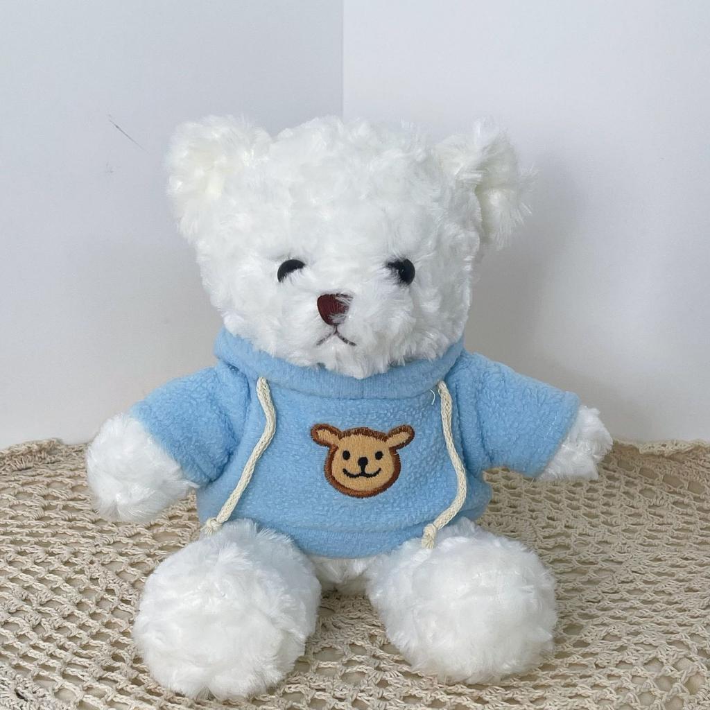 Cute Hug Bear Teddy Bear Doll Doll Sleeping with Clothes Bear Rag Doll Plush Toy Gift