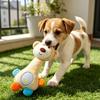 Pet Toy Sound Design Interactive Puppy Chew Toy with Built-in Rattle Cartoon Dog Monkey Design Teeth Oral Health Safe Chew