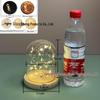 Luminous Sea Urchin Glass Dome with Preserved Flowers and String Lights