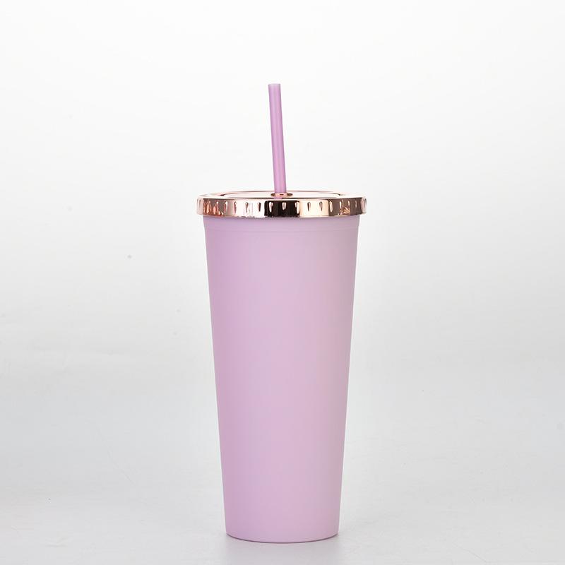 Plastic Water Cup Fashionable Rose Gold Cover Matte Multi-Color Double-Layer Plastic Straw Cup