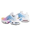Nike Air Max Plus Summer Gradient