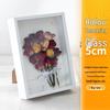 7-Inch 3D Glass Specimen Frame for DIY Dried Flowers, Insect Models, and Photos