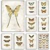 Vintage Butterflies and Moths Insect Studies Specimen Posters Prints Canvas Printing Wall Art Picture for Living Room Home Decor